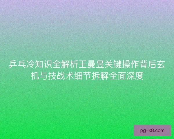 乒乓冷知识全解析王曼昱关键操作背后玄机与技战术细节拆解全面深度